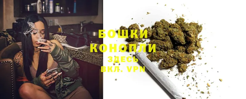 Сколько стоит Кедровый Cocaine  Конопля  Меф  Гашиш 