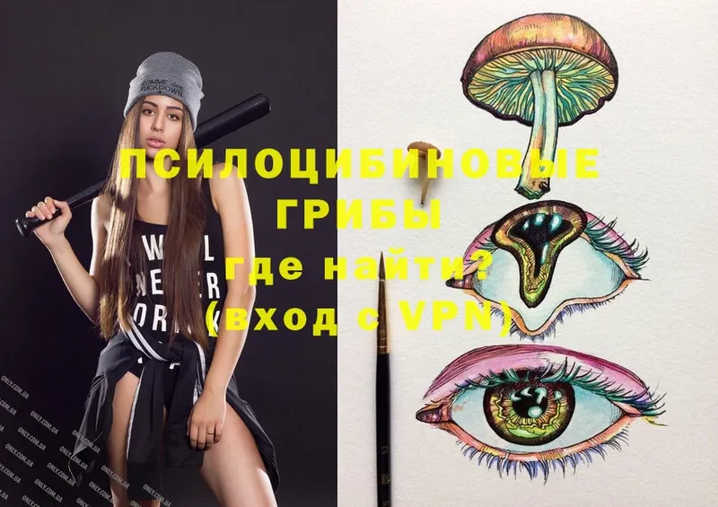 Галлюциногенные грибы Magic Shrooms  Кедровый 